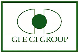 GI E GI GROUP